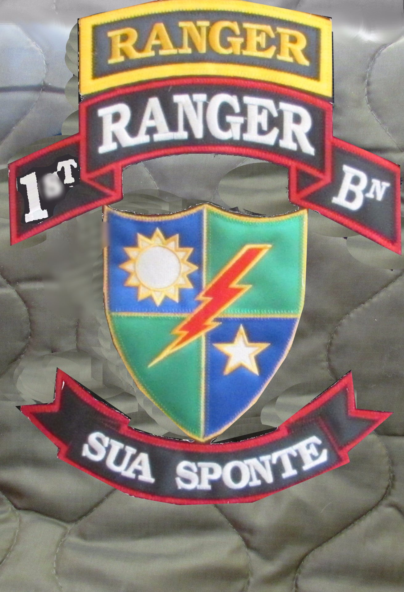 1st Ranger Battalion Poncho Liner -- Woobie!